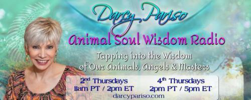 Animal Soul Wisdom Radio: Tapping into the Wisdom of Our Animals, Angels and Masters with Darcy Pariso : Animal Stories and Insights from 2019 with Special Guest, Stacy Lewis!