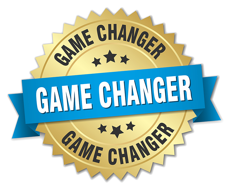 Business Game Changer - Sarah Westall